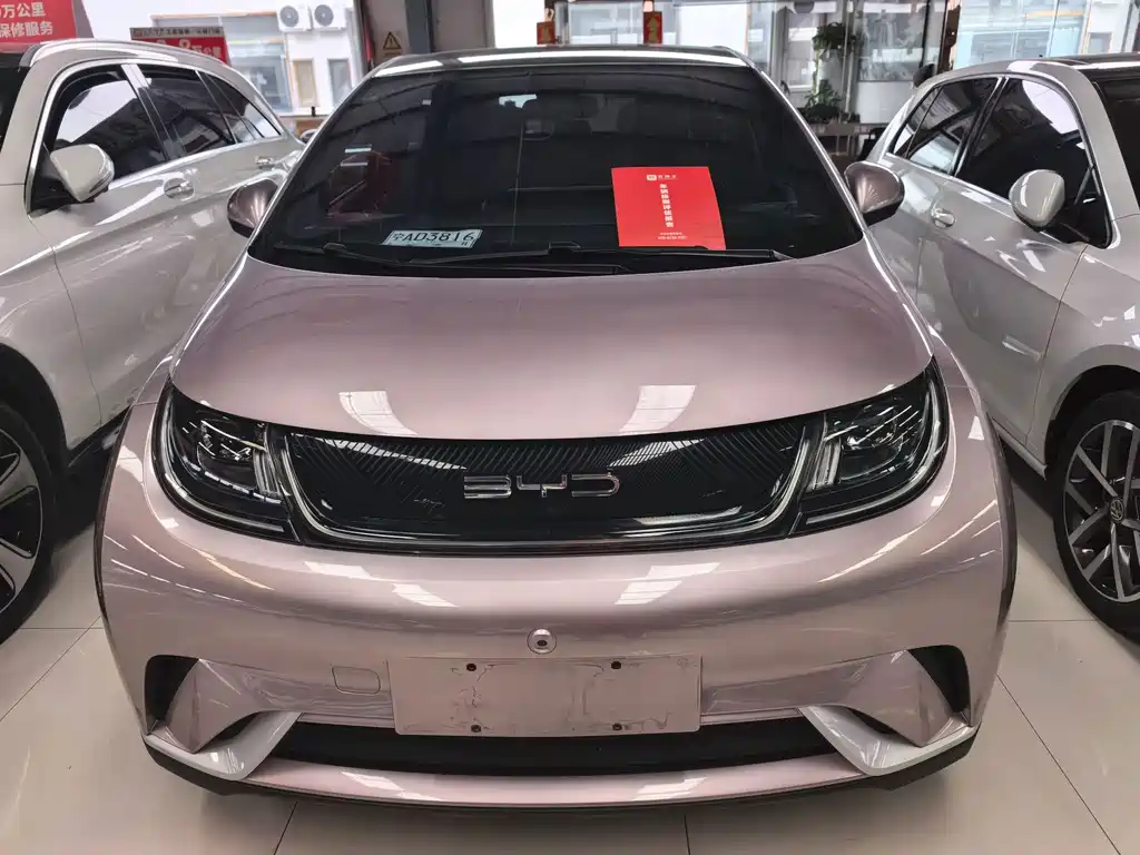 BYD Dolphin — миниатюра 2