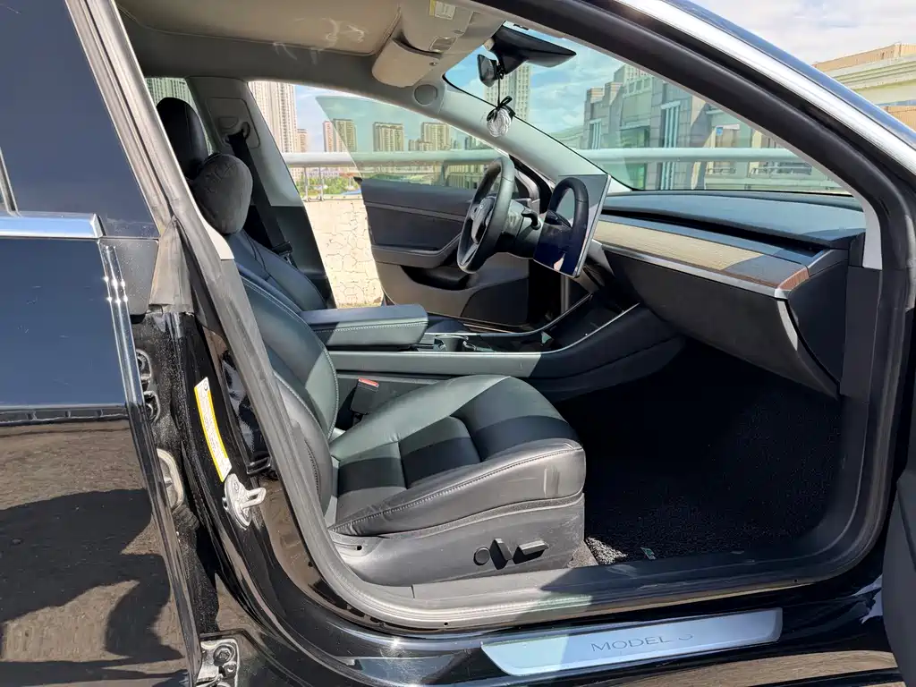Tesla Model 3 — миниатюра 11