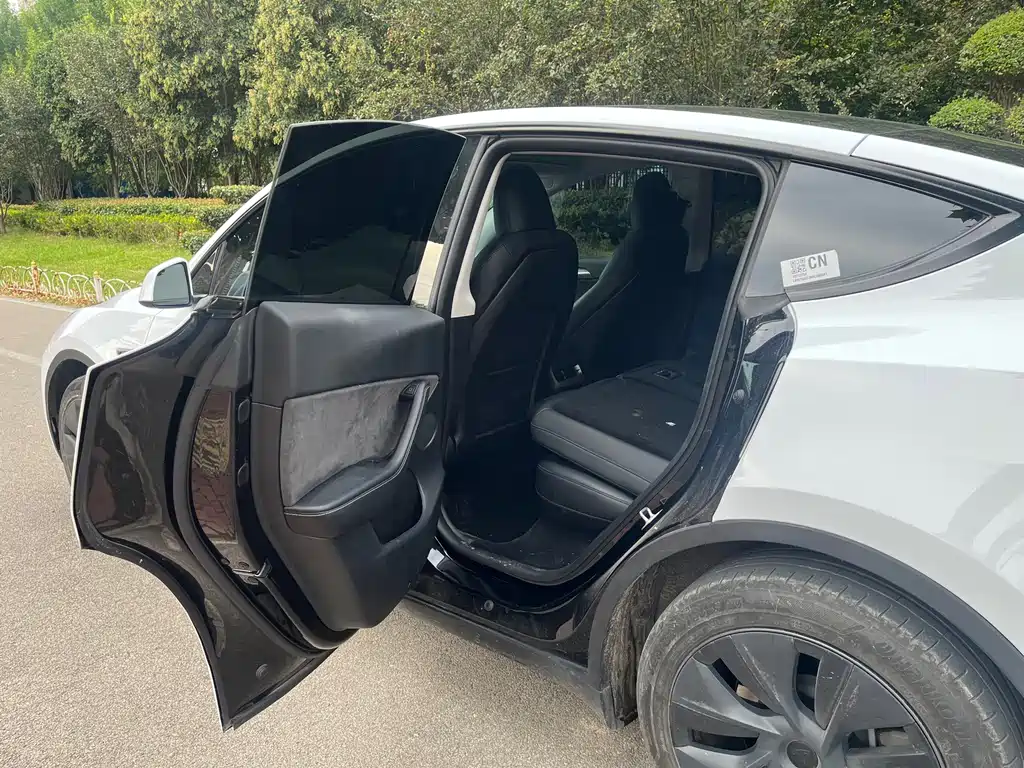 Tesla Model Y — миниатюра 5
