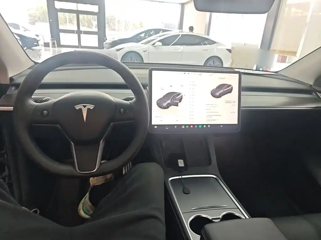 Tesla Model Y — миниатюра 10