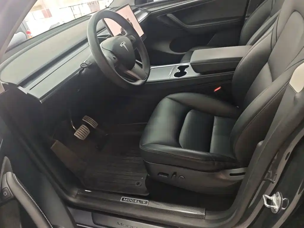 Tesla Model Y — миниатюра 15