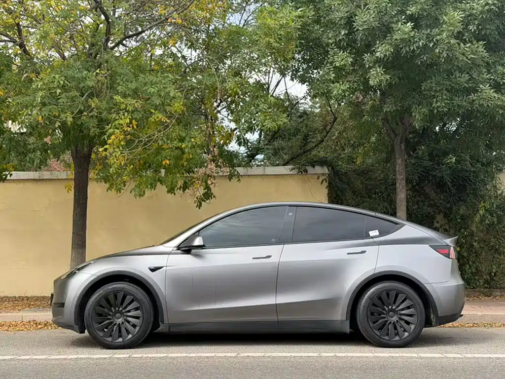 Tesla Model Y — миниатюра 4