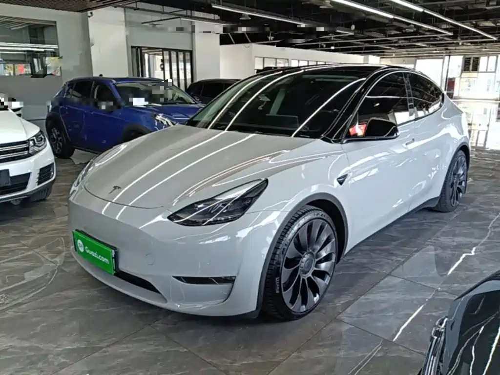 Tesla Model Y — миниатюра 2