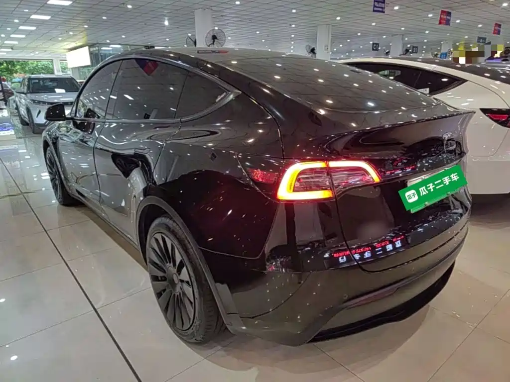 Tesla Model Y — миниатюра 5