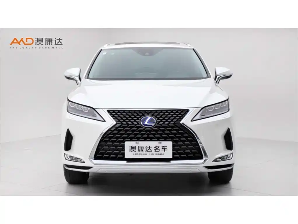 Lexus RX 2020 450h Elegant VI