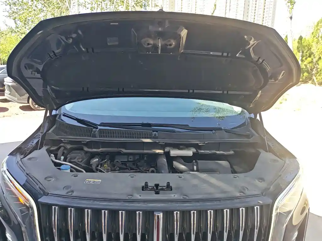 Hongqi Hongqi HQ9 — миниатюра 20