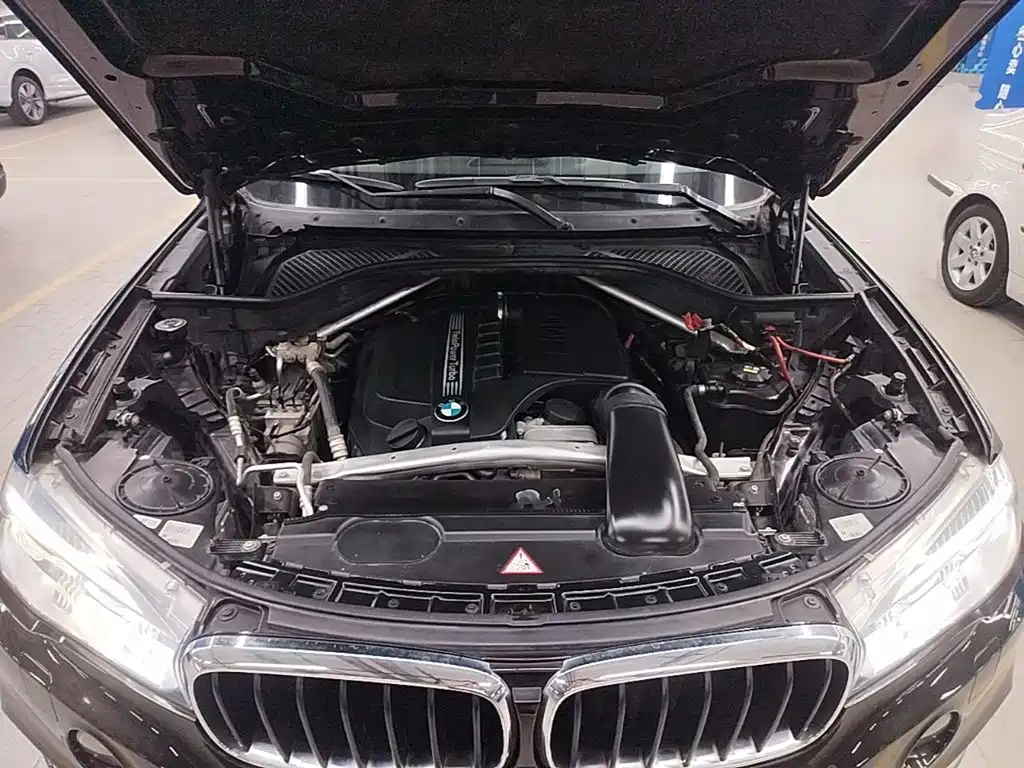 BMW X5 (Import) — миниатюра 16