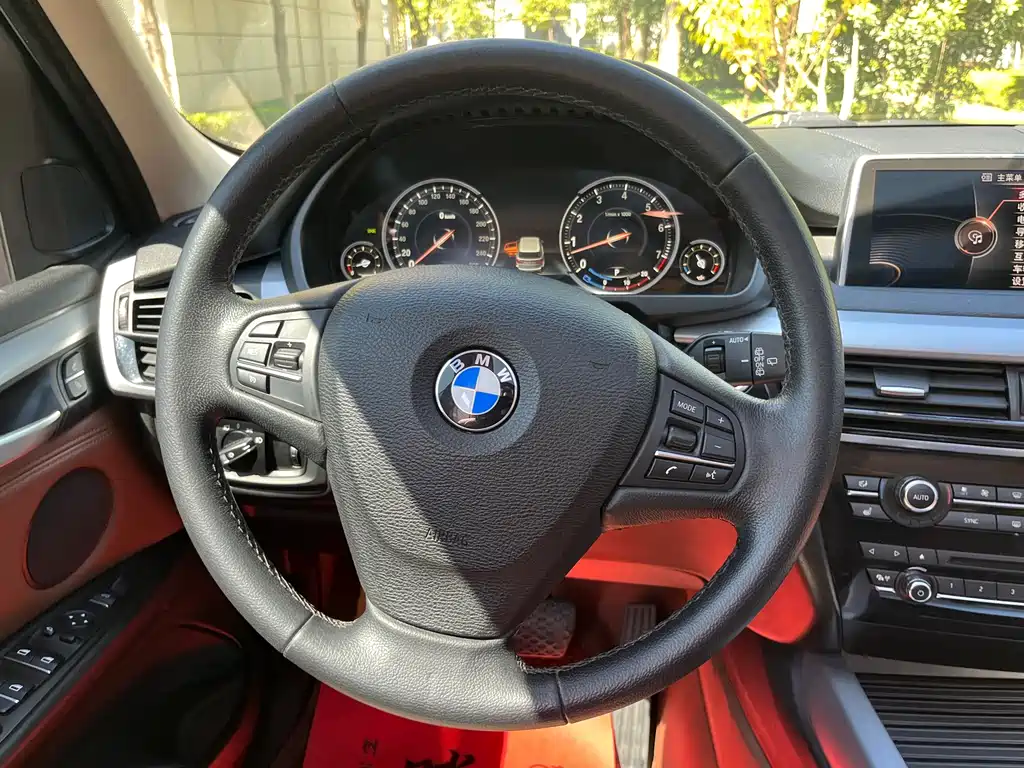 BMW X5 (Import) — миниатюра 10