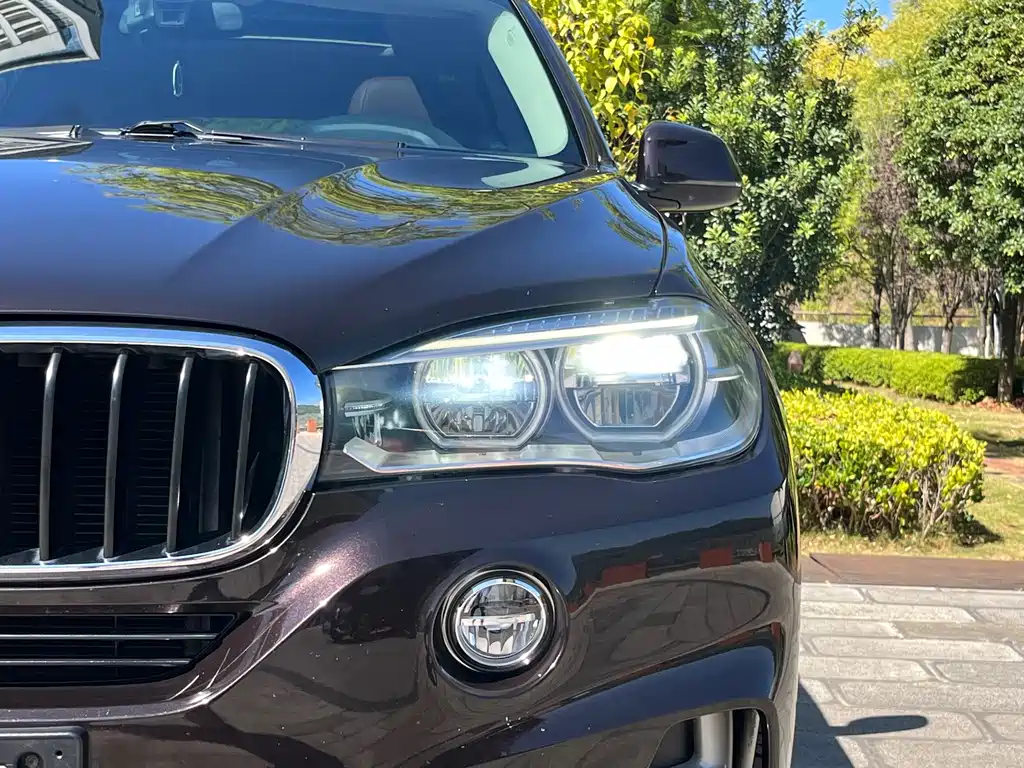 BMW X5 (Import) — миниатюра 24