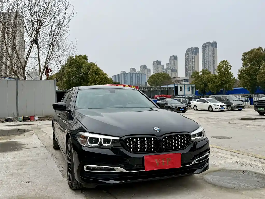 BMW 5 Series 5 2019 530Li Lead Luxury