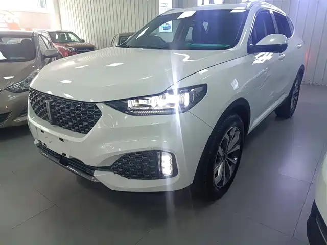 WEI PAI WEI BRAND VV6