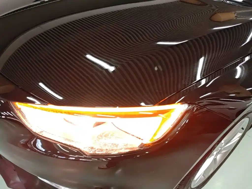 Buick Regal — миниатюра 24