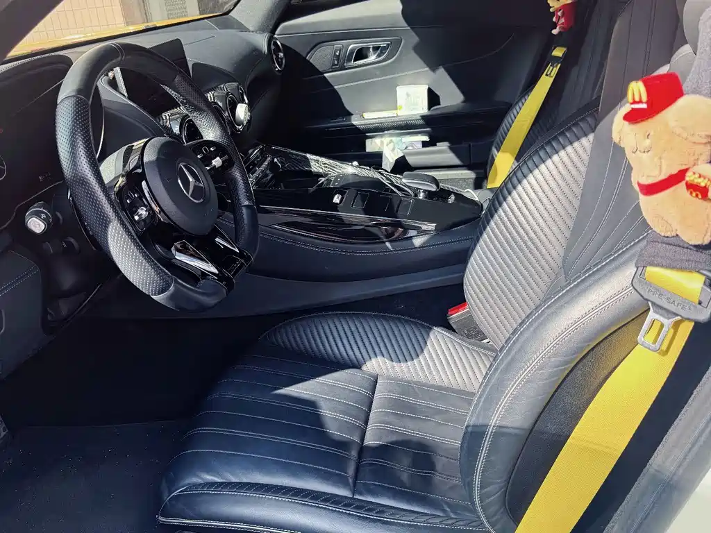 Mercedes-Benz AMG GT AMG GT, фото 6