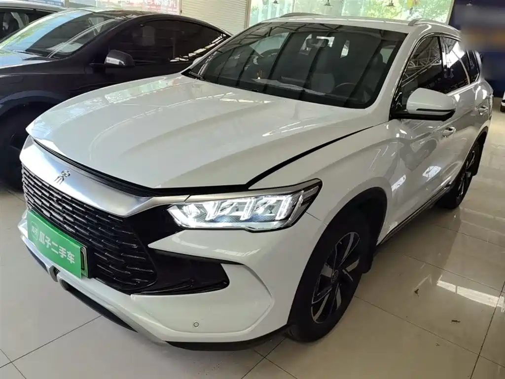 Byd Pro New Energy 2024