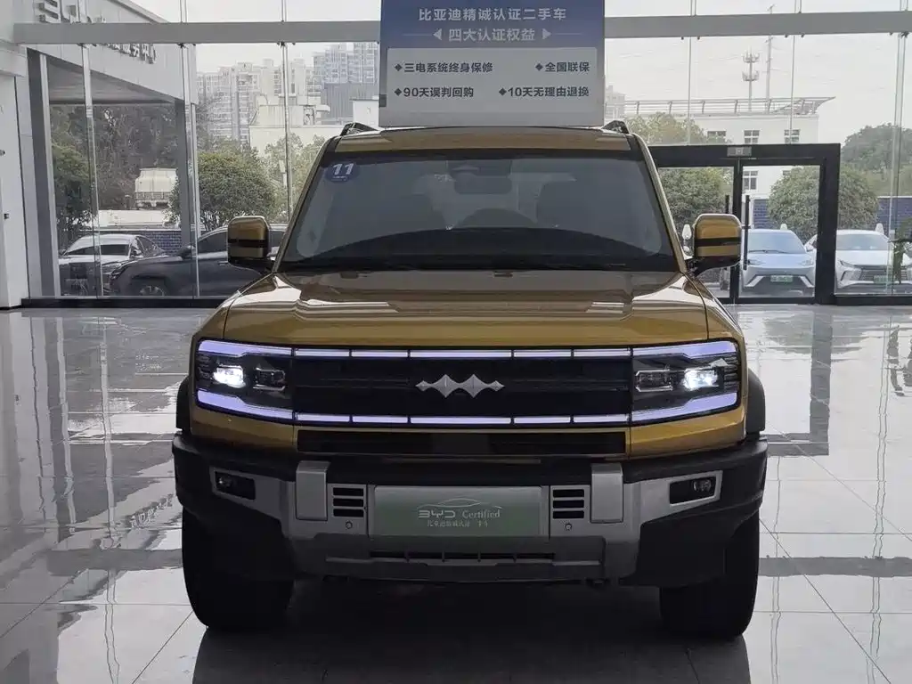 FANG CHENG BAO LEOPARD 5