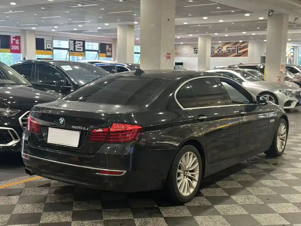 BMW 5 Series — миниатюра 3
