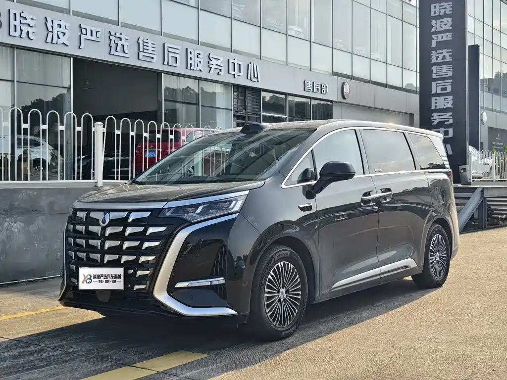 Denza Denza D9