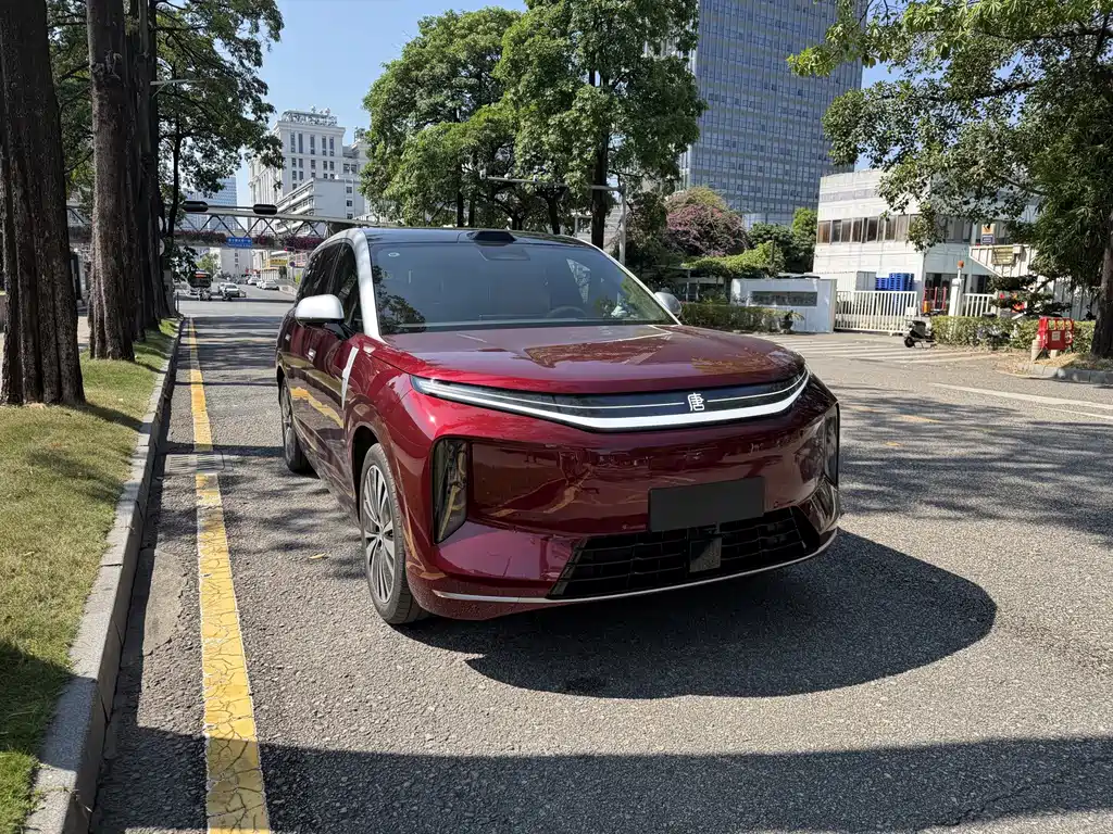 BYD Datang — миниатюра 3