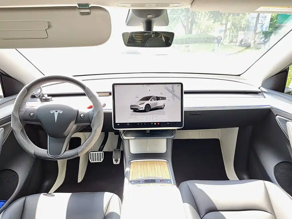 Tesla Model Y — миниатюра 10