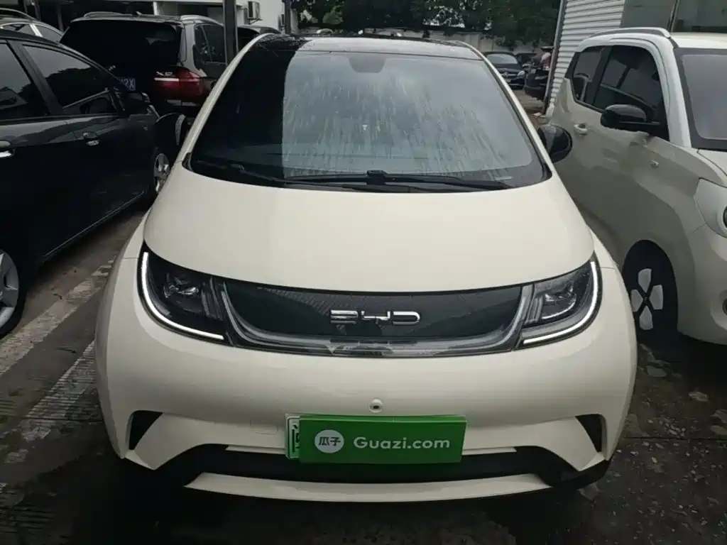 BYD Dolphin — миниатюра 3