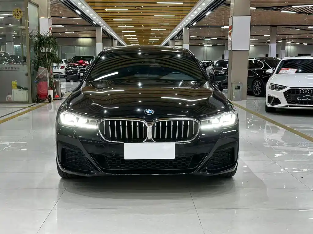 BMW 5 Series — миниатюра 2