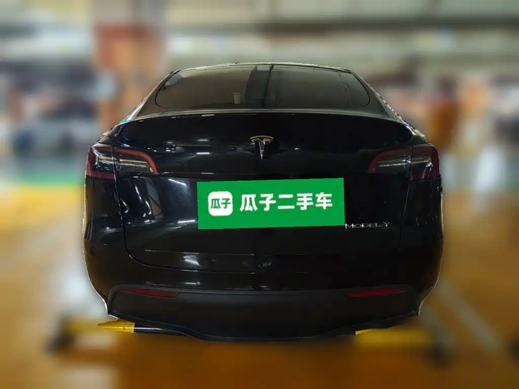 Tesla Model Y — миниатюра 5