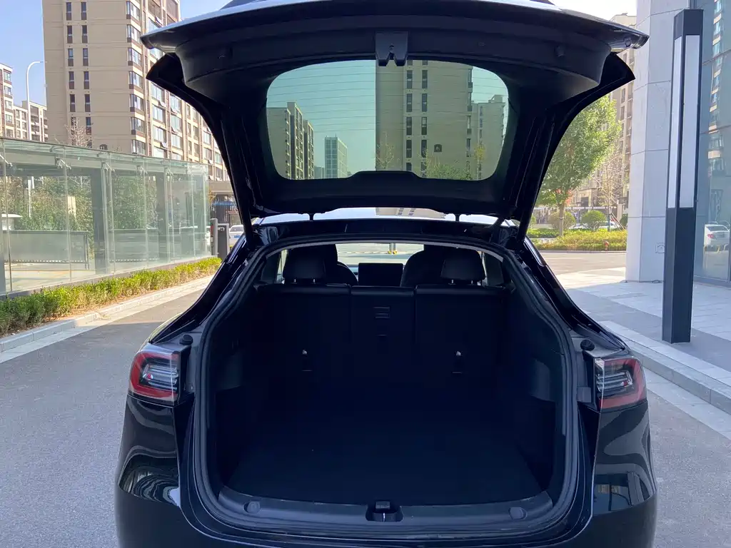 Tesla Model Y — миниатюра 16
