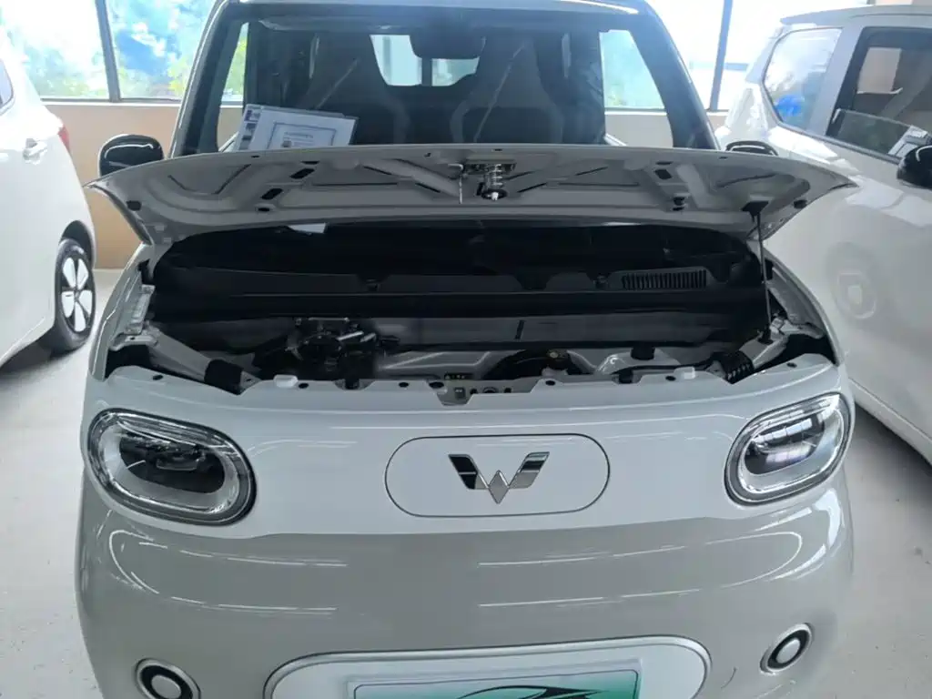 Wuling MINIEV — миниатюра 20