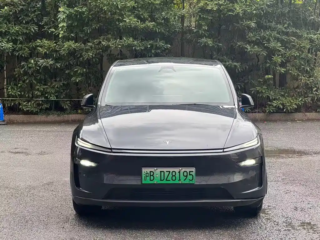 Tesla Model Y — миниатюра 2