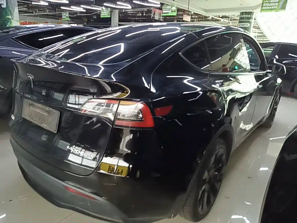 Tesla Model Y — миниатюра 7