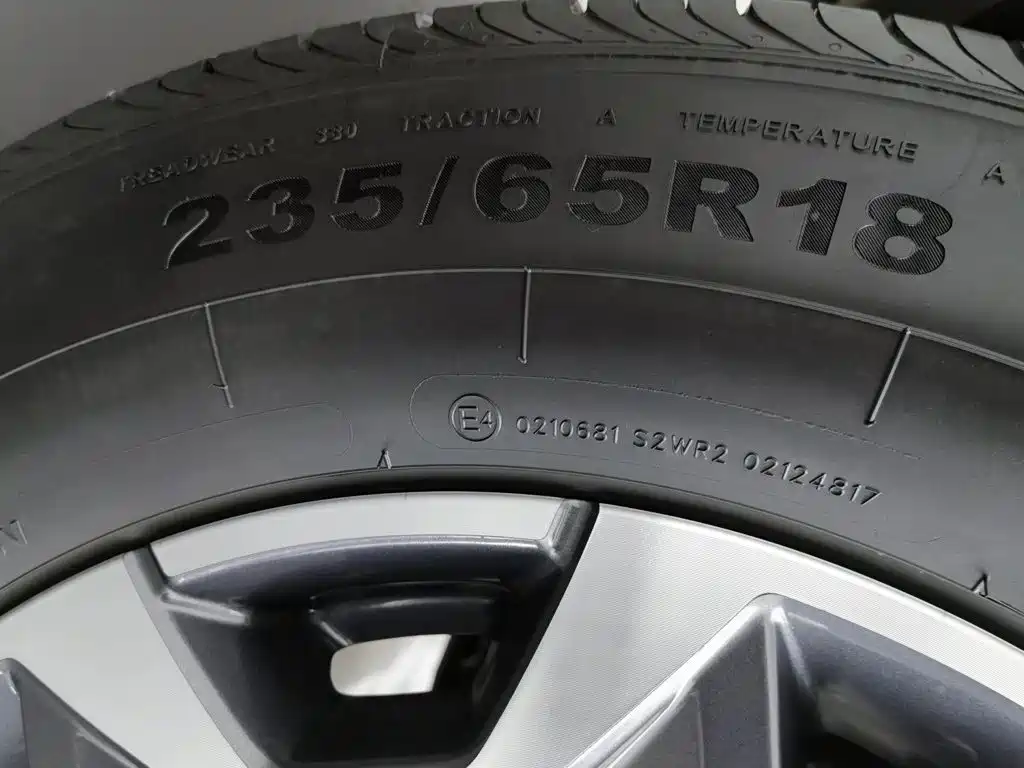 Haval Big Dog — миниатюра 24