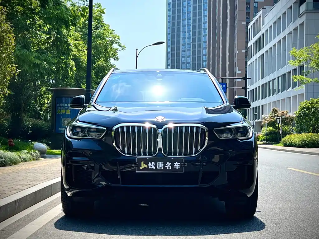 BMW X5 (Import) — миниатюра 2
