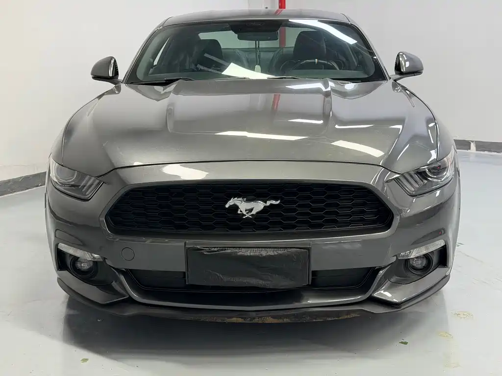 Ford Mustang — миниатюра 3