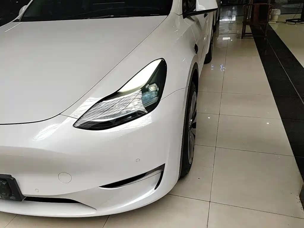 Tesla Model Y — миниатюра 24