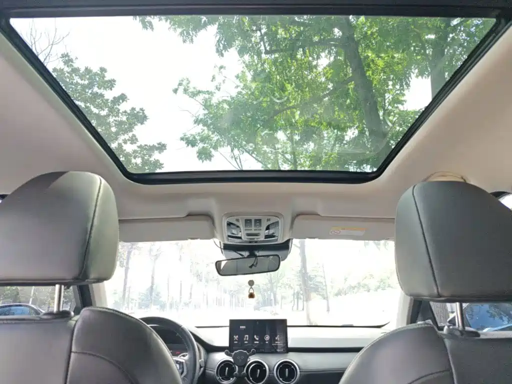 Wey Wey VV6 — миниатюра 18