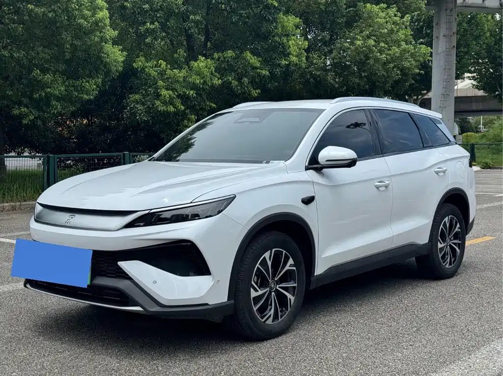 BYD Pro New Energy