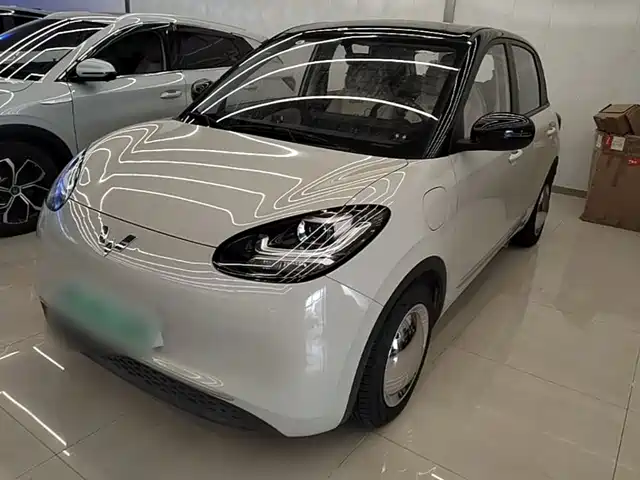 Wuling Bingo