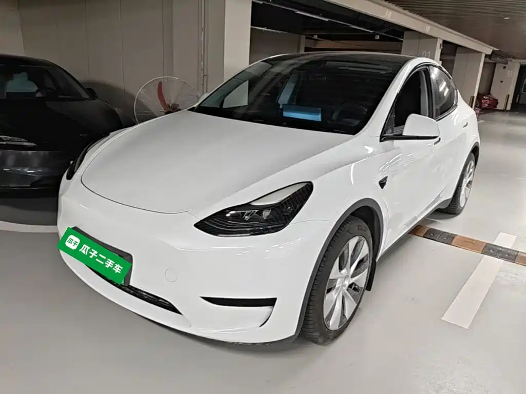 Tesla Model Y — миниатюра 2