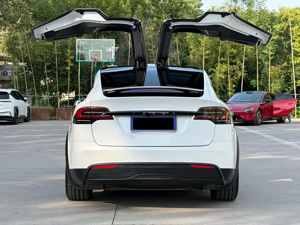 Tesla Model X — миниатюра 6