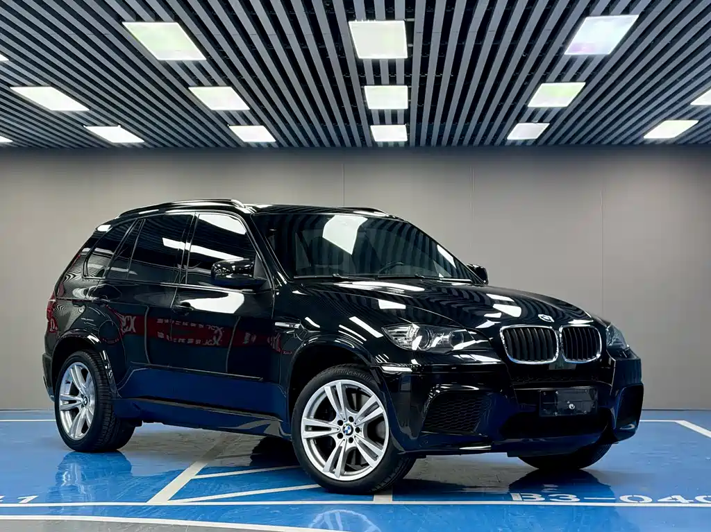 BMW X5 M 2010 X5 M