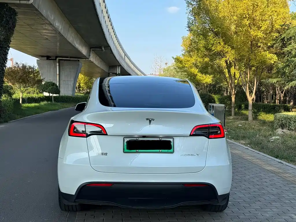 Tesla Model Y — миниатюра 5