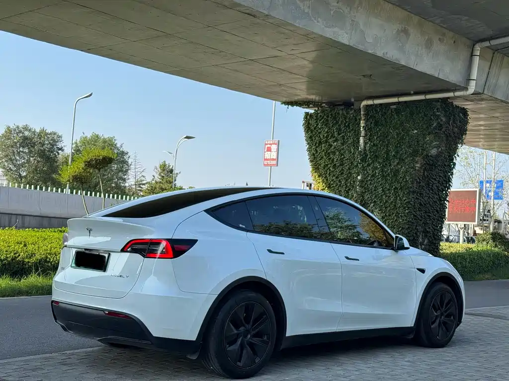 Tesla Model Y — миниатюра 4