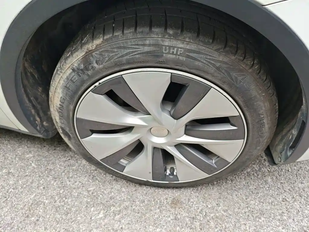 Tesla Model Y — миниатюра 26