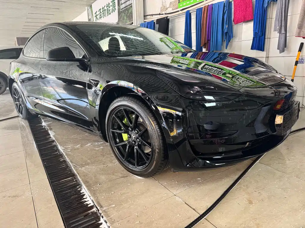 Tesla Model 3 2021