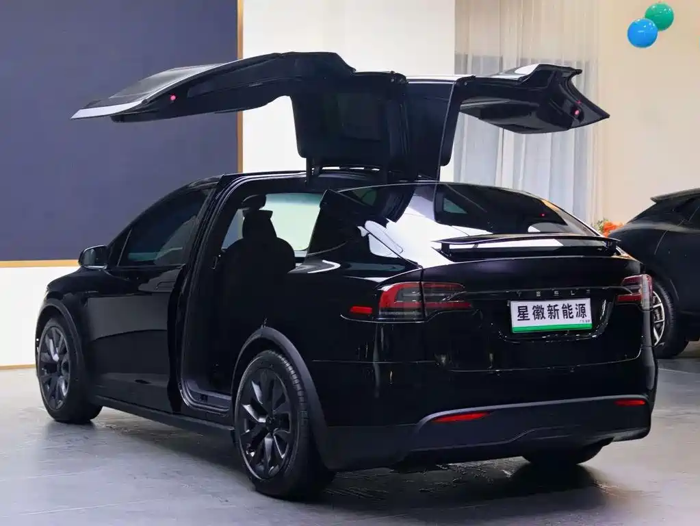Tesla Model X — миниатюра 21