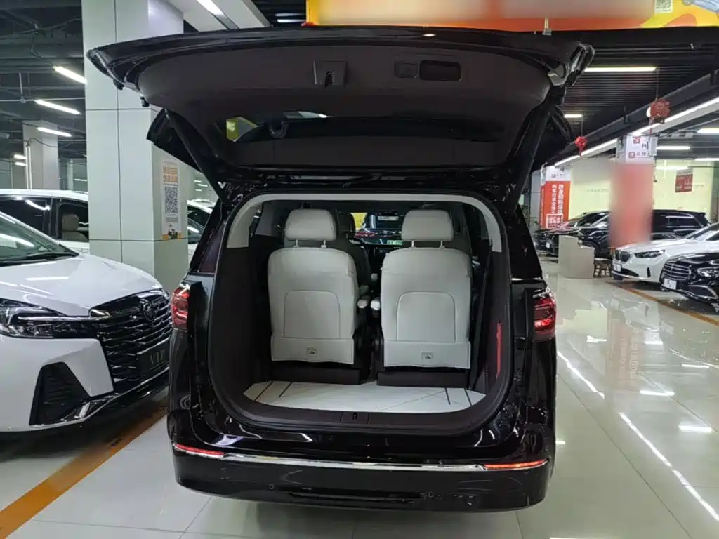 Buick GL8 — миниатюра 19