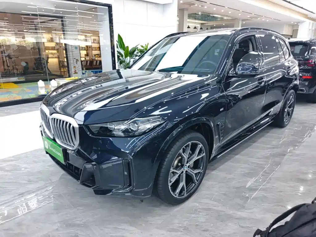 BMW X5 — миниатюра 2