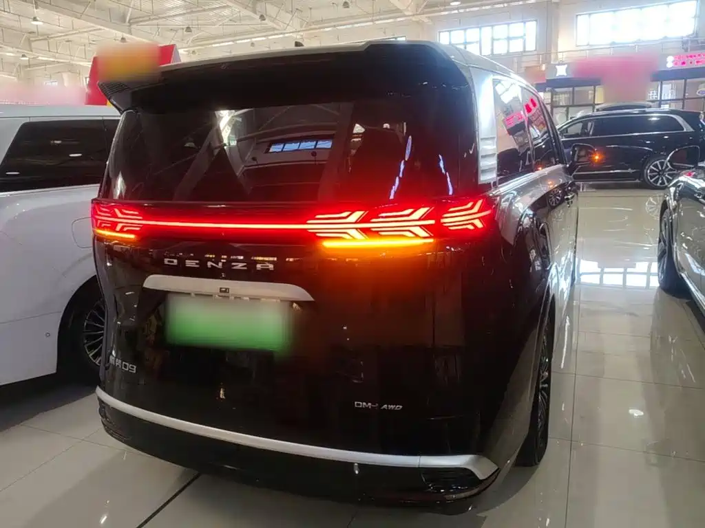 Denza Denza D9 — миниатюра 7