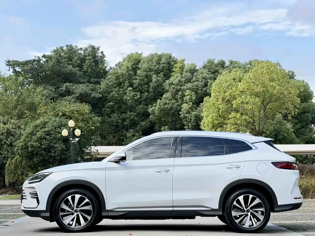 BYD PLUS New Energy — миниатюра 4