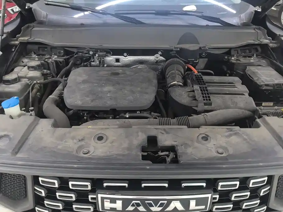 Haval Big Dog PLUS New Energy — миниатюра 10